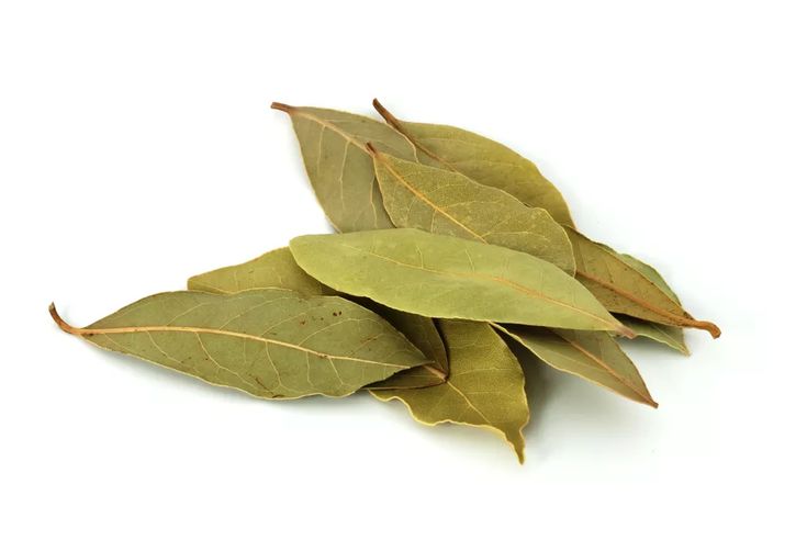 Image of Bay Leaves