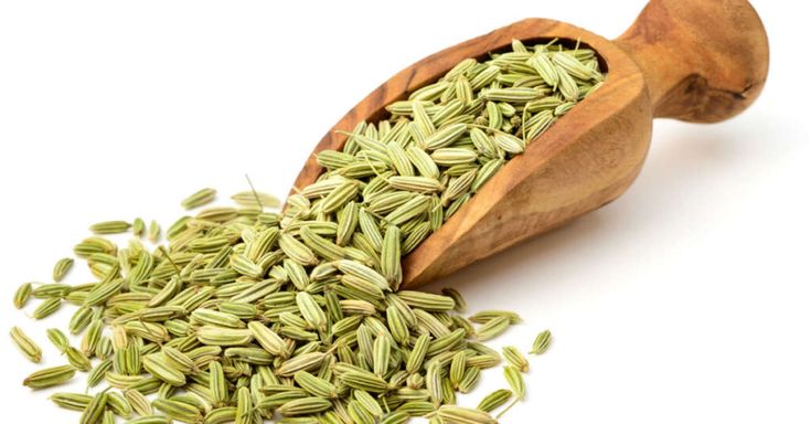 Image of Fennel