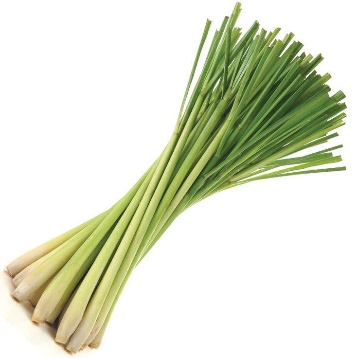 Image of Lemongrass