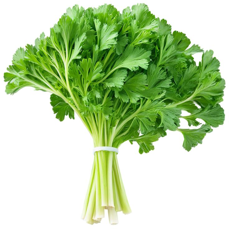 Image of Parsley